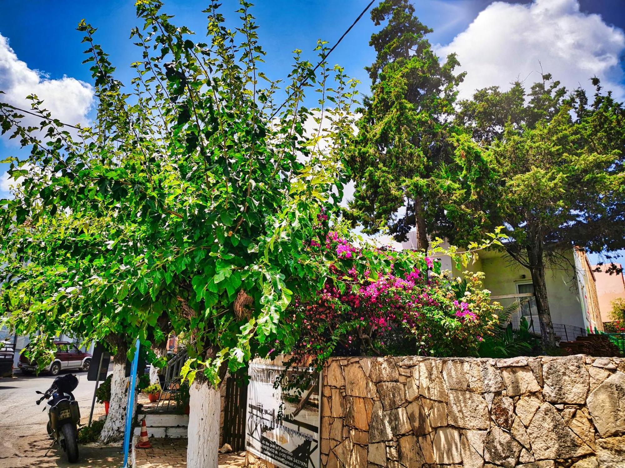 Phaos Residence, Your Stylish Crete Retreat Πάνορμος Εξωτερικό φωτογραφία