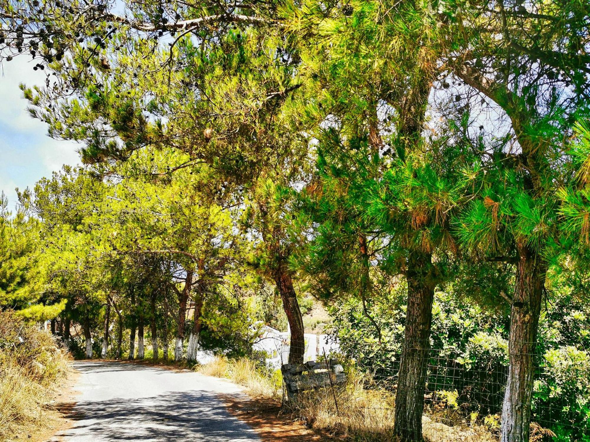 Phaos Residence, Your Stylish Crete Retreat Πάνορμος Εξωτερικό φωτογραφία